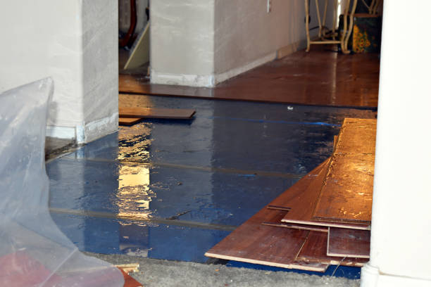 Professional Basement Water Removal technician working in Stem, NC
